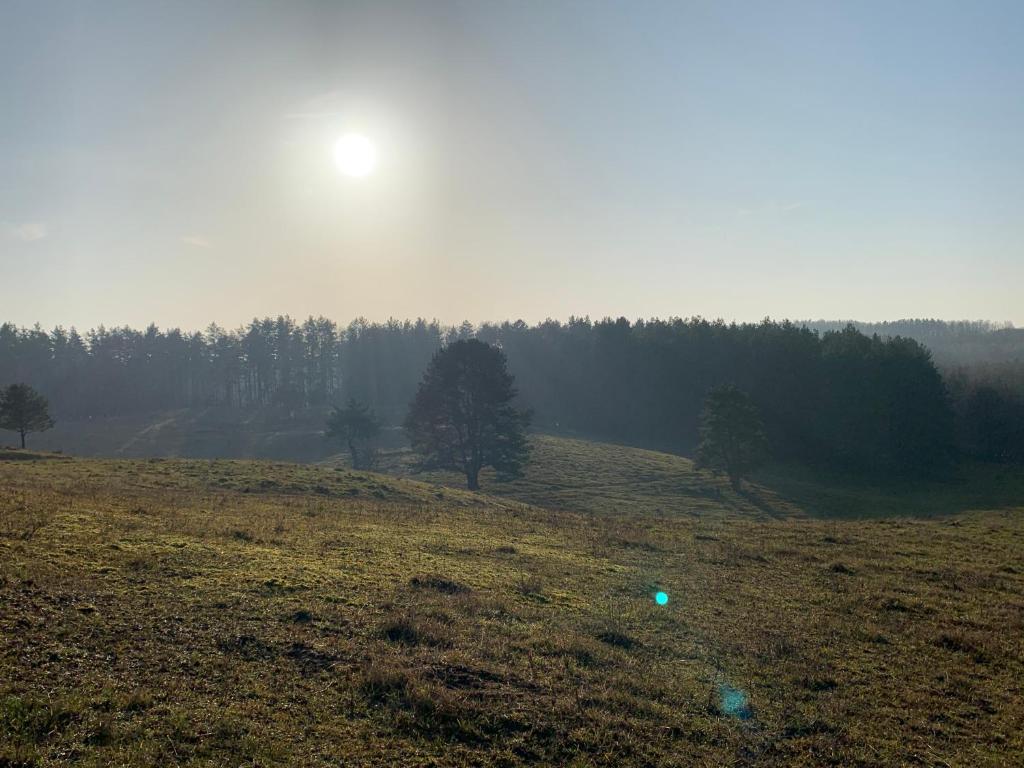 Príroda v okolí apartmánu