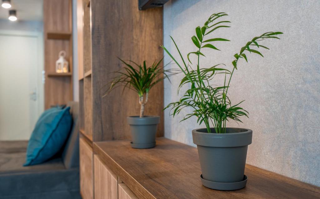 Posezení v ubytování Apartment ALPINE by Atrium, New Gudauri