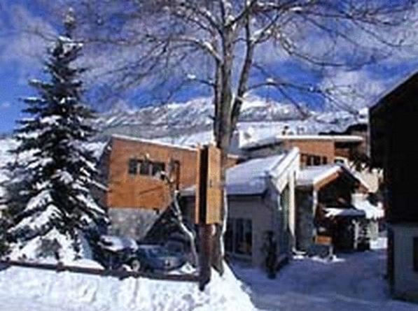 ヴァールにあるChalet-Hôtel Alpage & SPAの木と雪の庭のある家