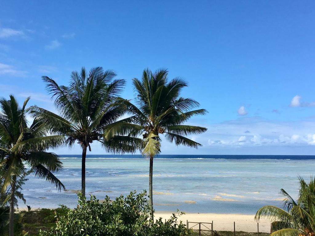 een uitzicht op een strand met palmbomen en de oceaan bij APPARTEMENT DE LUXE SUR LA PLAGE in Riambel