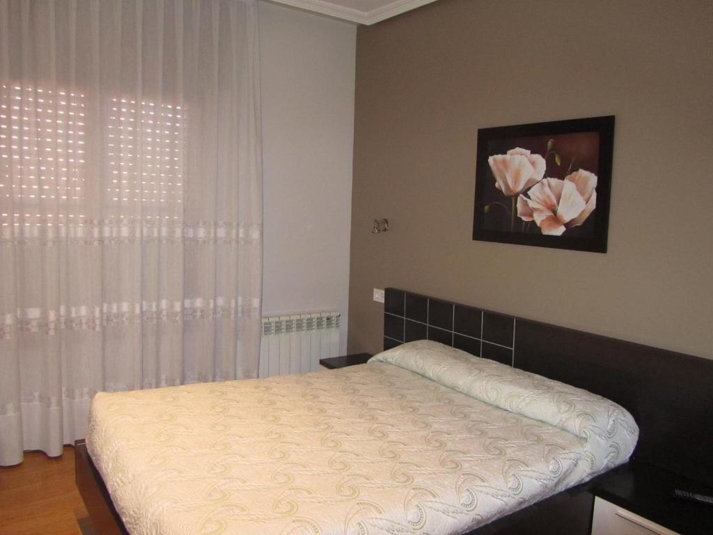 1 dormitorio con 1 cama y una ventana con flores rosas en Hostal Puerta La Villa, en Tordesillas