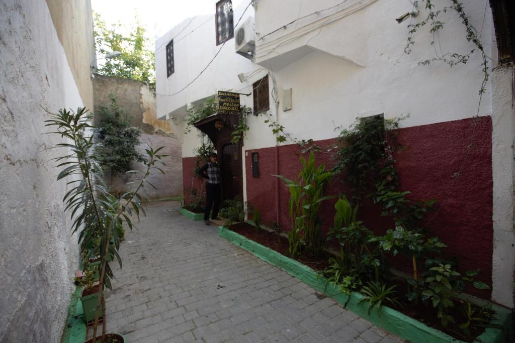 un callejón en un edificio con plantas a un lado en Dar Lalla Wafae en Fez