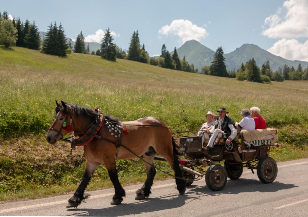 Hosté ubytování Penzión Goraľka