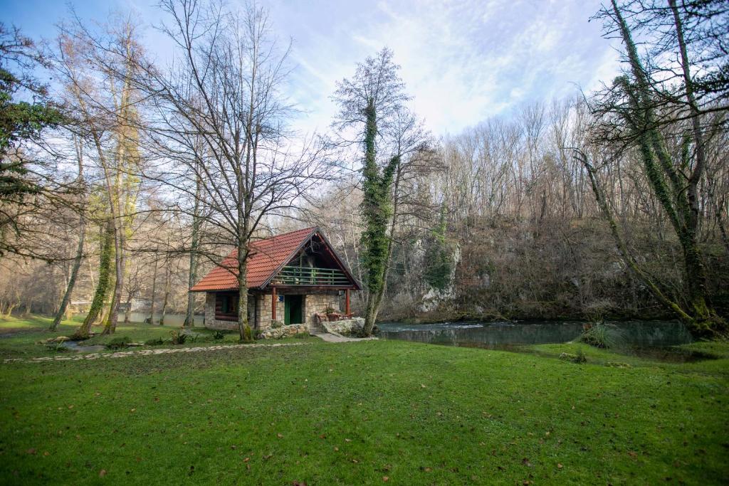 Zahrada ubytování Bistrica Cottage
