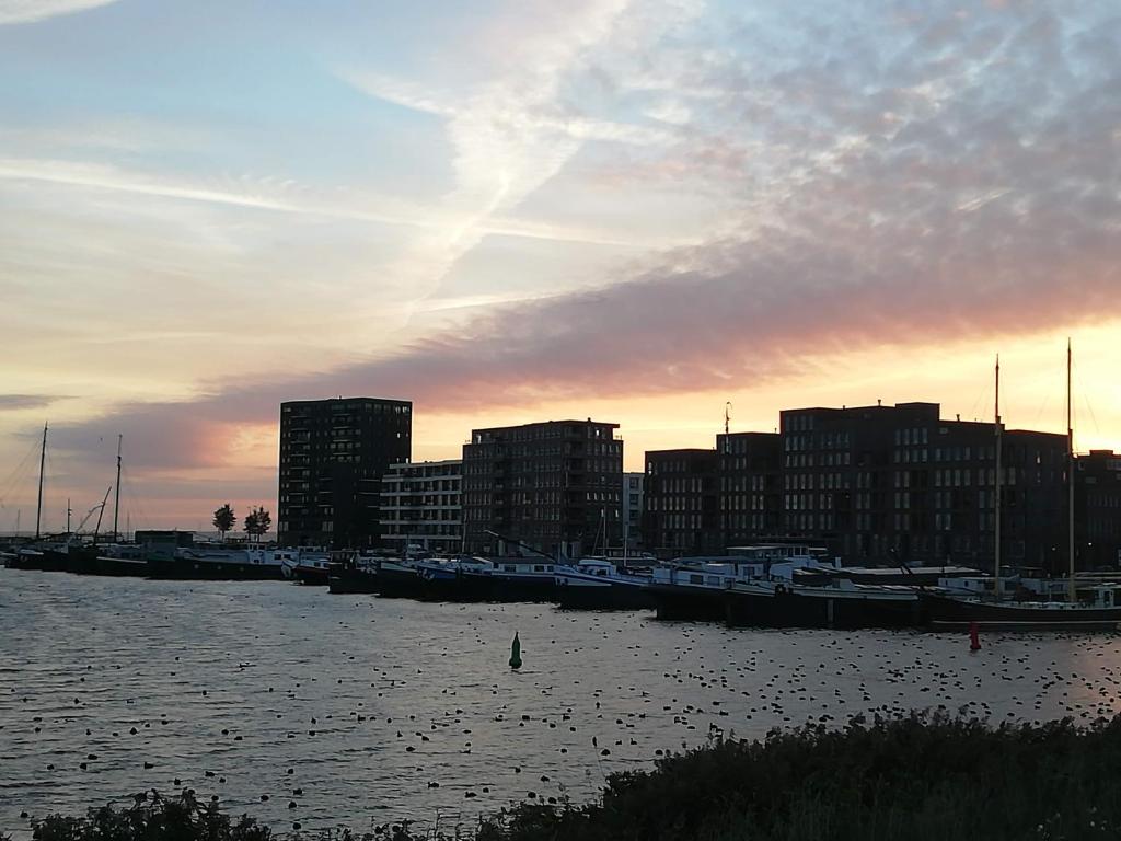 a group of boats docked in a marina at sunset at Private Lodge on Houseboat Amsterdam in Amsterdam