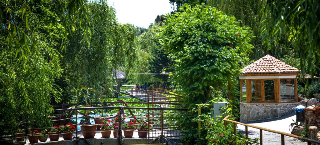 Zahrada ubytování Hotel Insula
