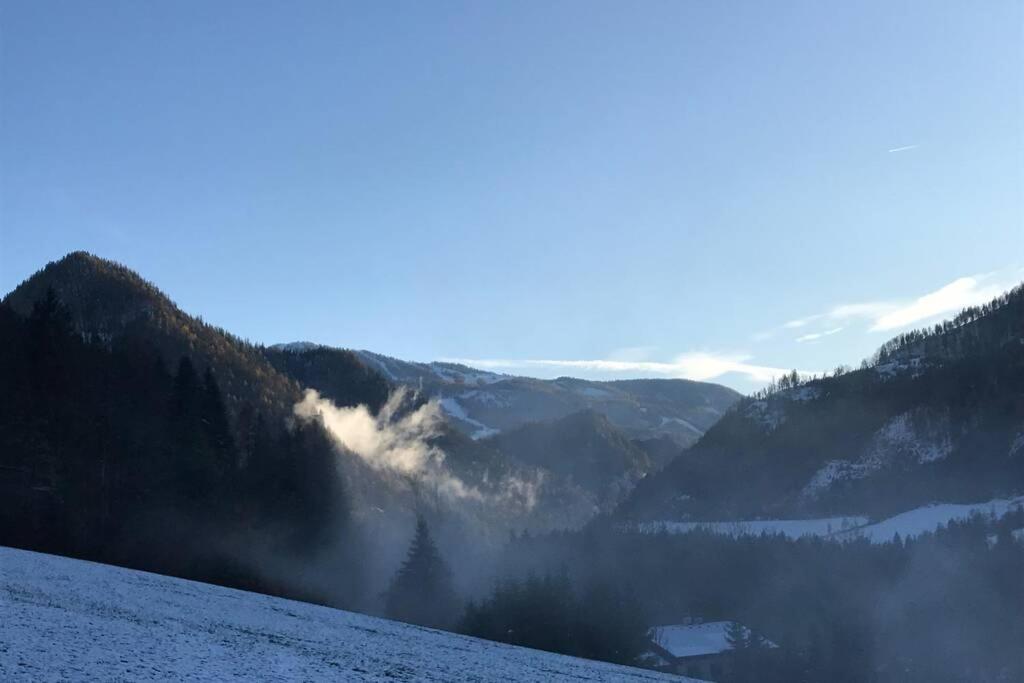 Przyroda w pobliżu tego domu w stylu alpejskim