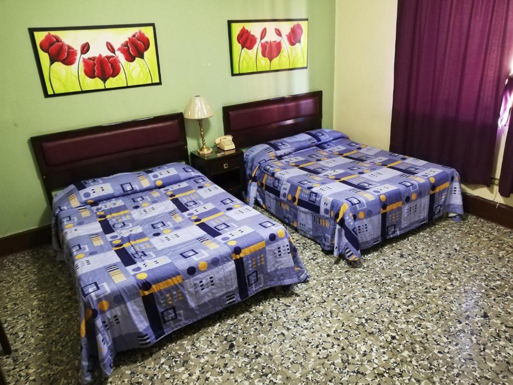 Dos camas en una habitación con cajas. en Hotel De Gante, en San Luis Potosí
