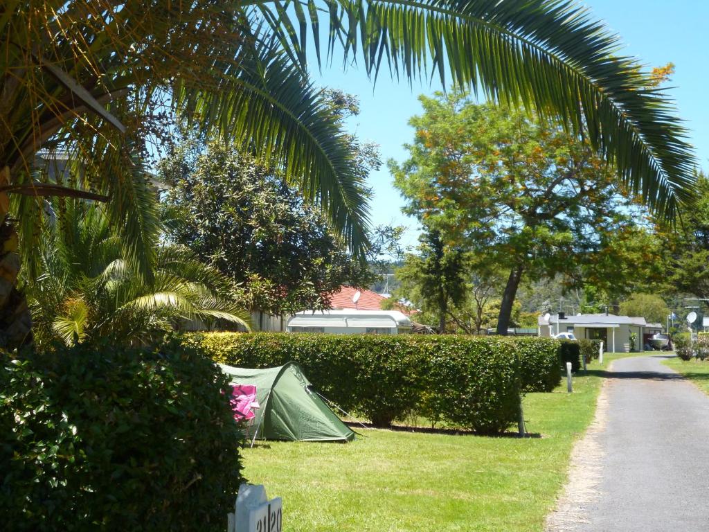 a tent sitting in the grass under a palm tree at Harbourside Holiday Park in Whitianga