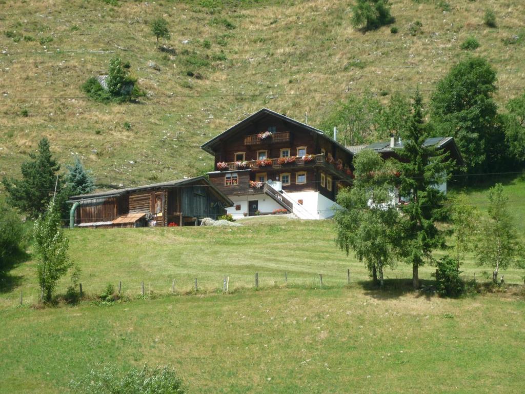 a large house on a hill in a field at Ferienwohnungen Rieder in Gerlos