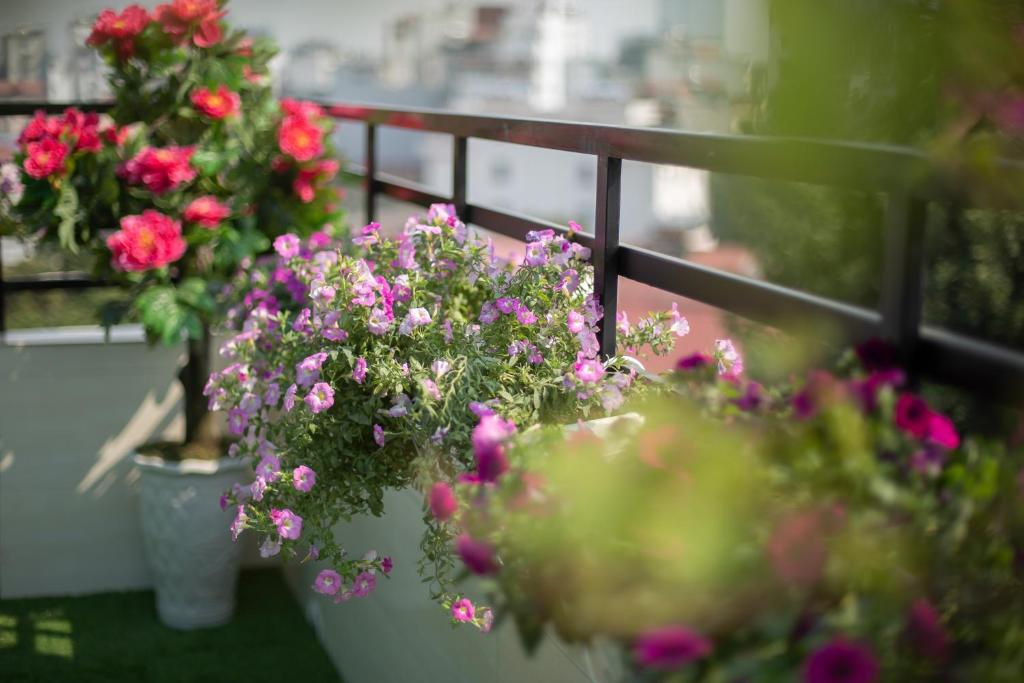 Zahrada ubytování Hanoi Lotus Boutique Hotel