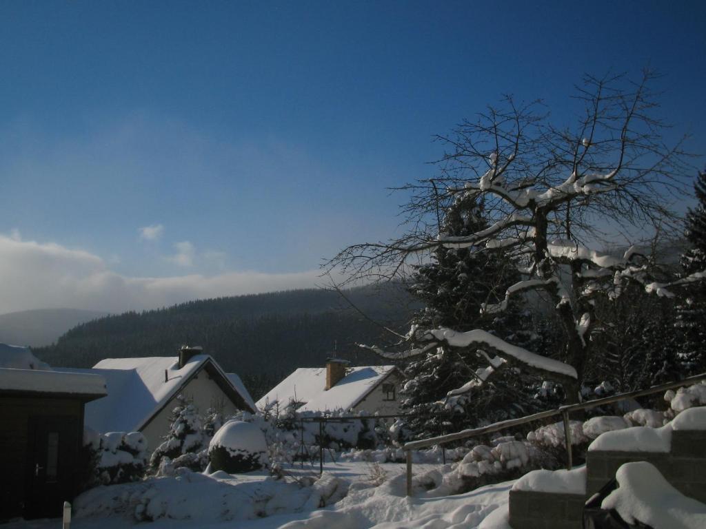 Příroda nedaleko apartmánu