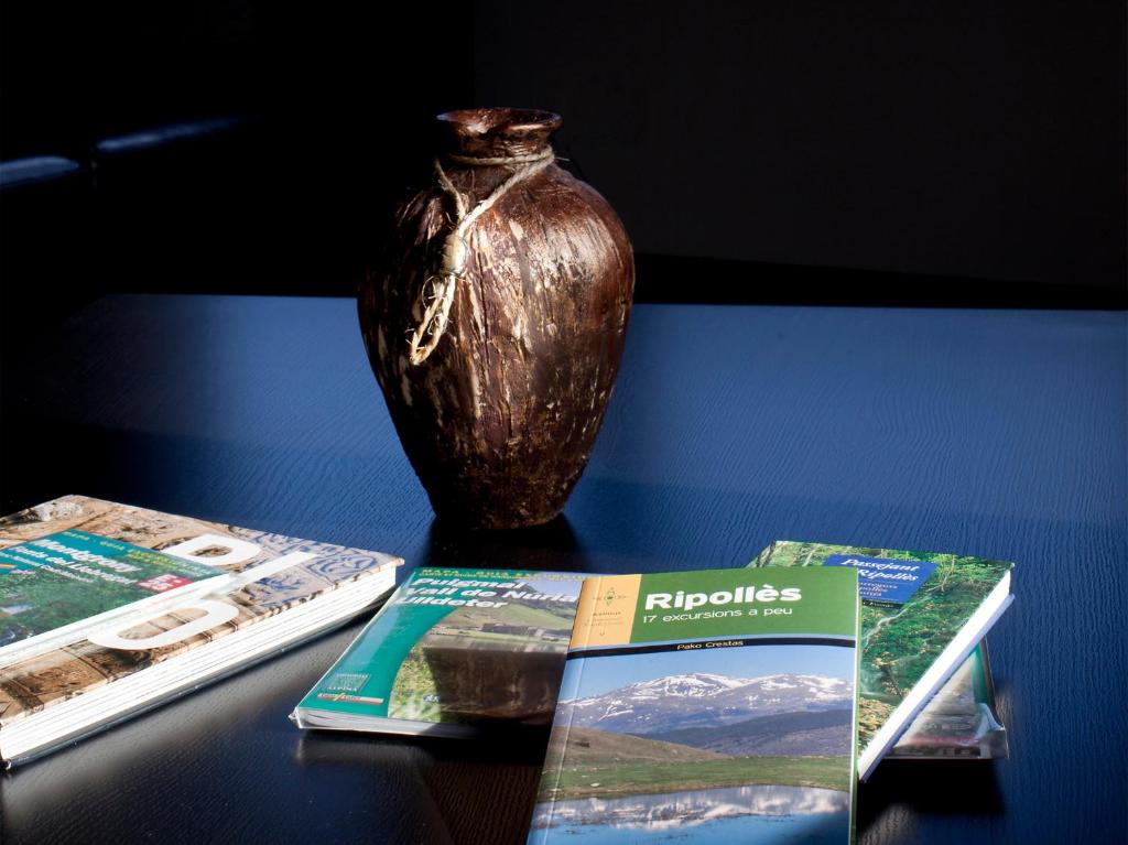 Fotografie z fotogalerie ubytování Mas Pinoses v destinaci Les Llosses