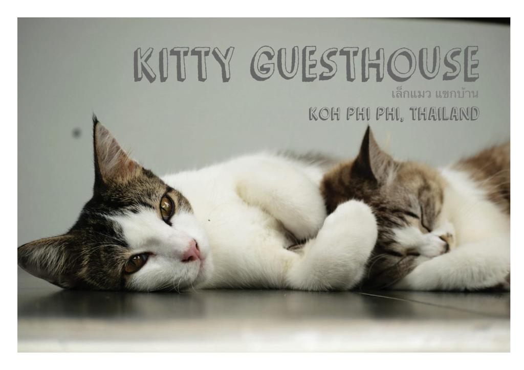 Domácí mazlíčci ubytovaní s hosty v ubytování Kitty Guesthouse