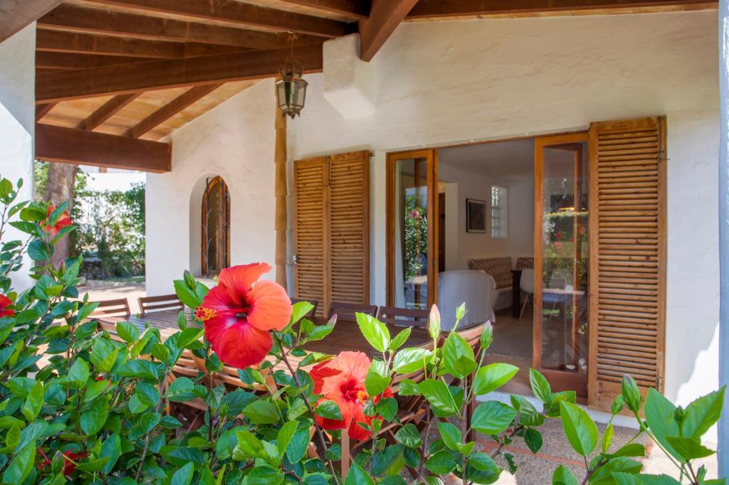 Zahrada ubytování Villa Mumare