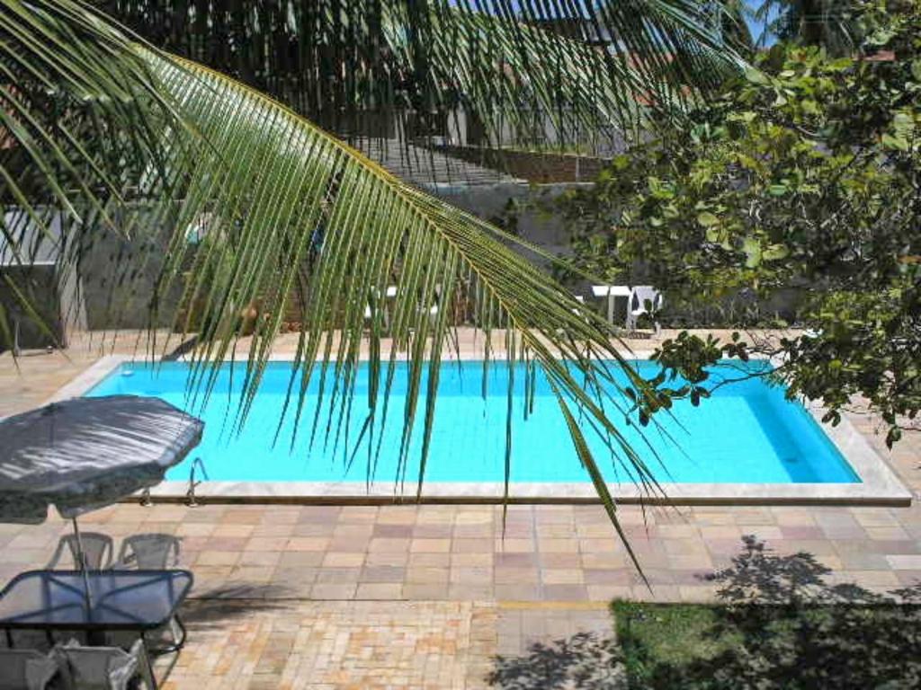 una palmera junto a una piscina azul en Pousada Dos Cajueiros, en Paripueira