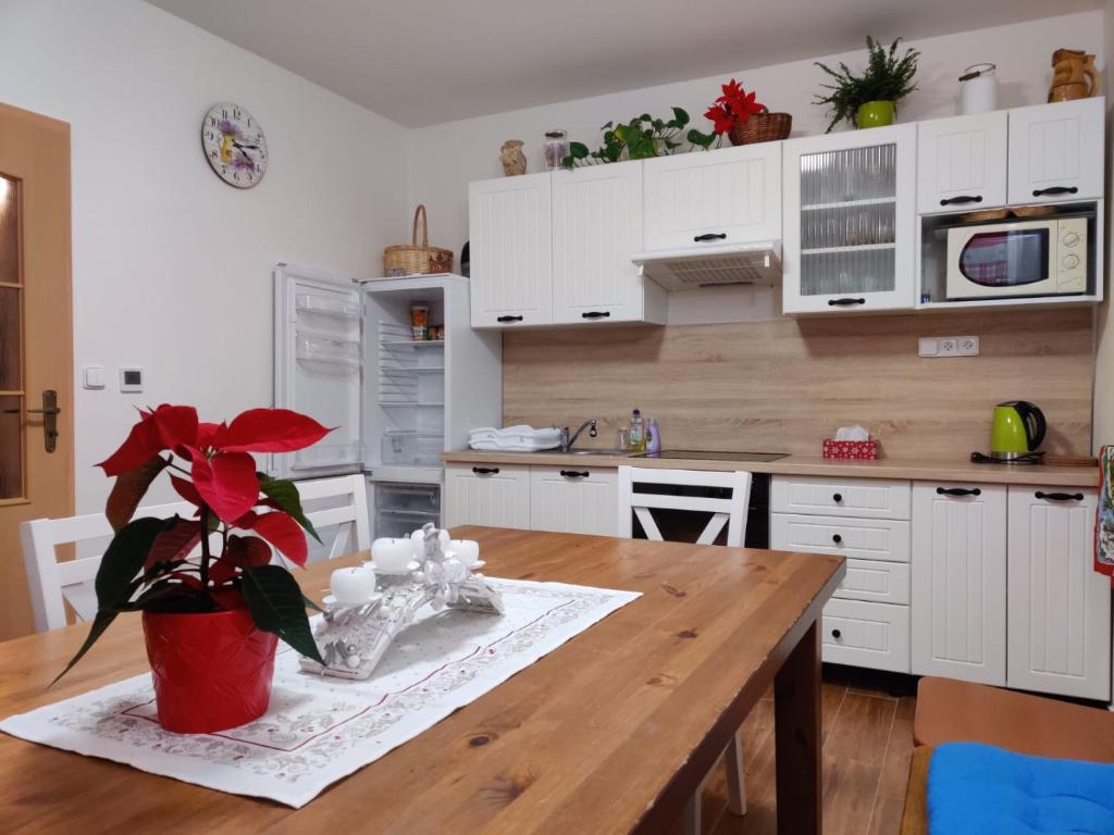 una cucina con armadi bianchi e un tavolo in legno con una pianta di Apartmán pod Božím Darem a Jáchymov