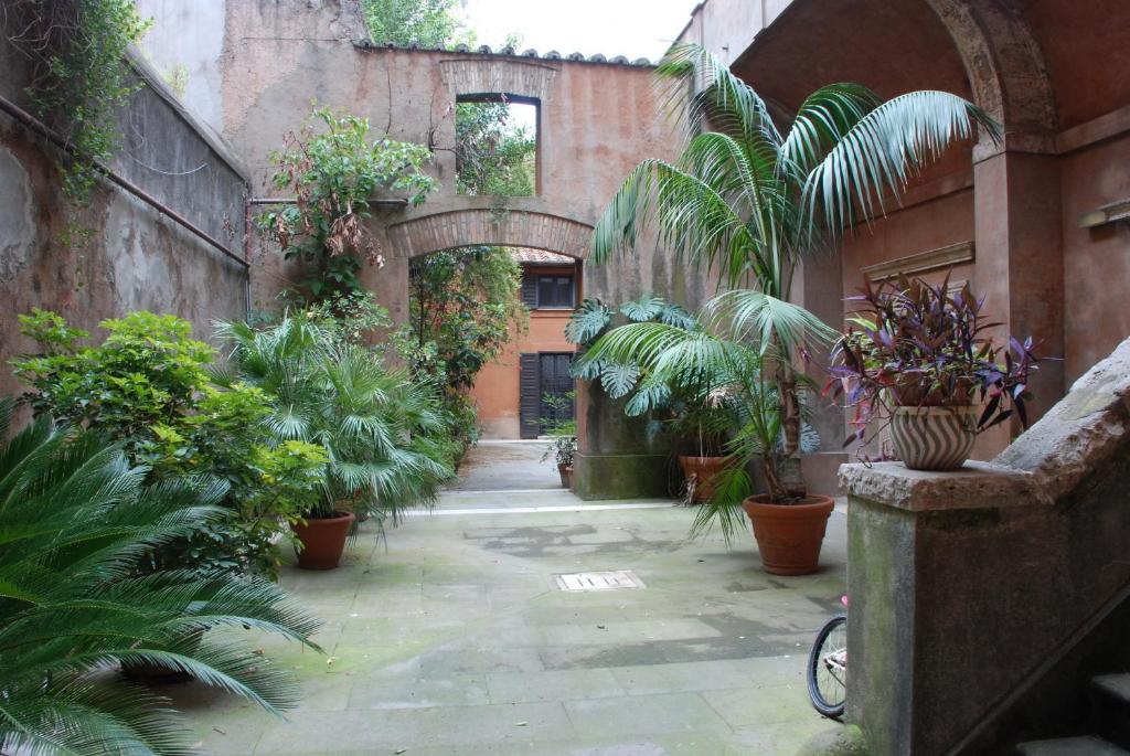 a courtyard with plants in an old building at Palazzo Velli in Rome