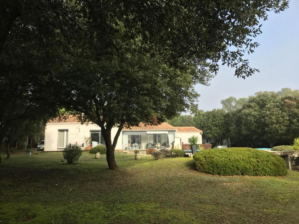 Chambre d'hôte à La maison du petit bois 4 étoiles - Chambre Double Avec Vue Sur Le Jardin