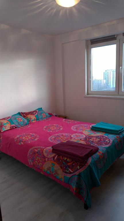 1 dormitorio con cama con dosel y ventana en Magic Spot, en Bucarest