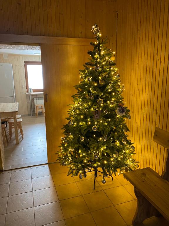 Zdjęcie z galerii obiektu Willa Huragan w Bukowinie Tatrzańskiej