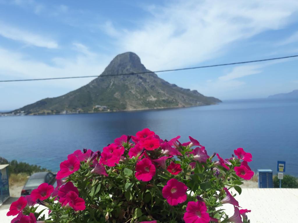 a pot of pink flowers in front of a mountain at Eftychias residence in Masouri