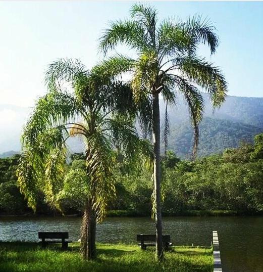  Suites próximo ao rio Jaguareguava em Bertioga