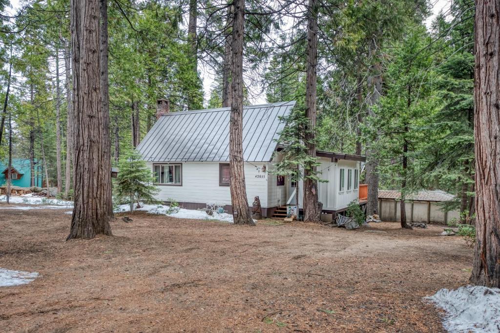 a white house in the woods with trees at Elevation Station in Shaver Lake