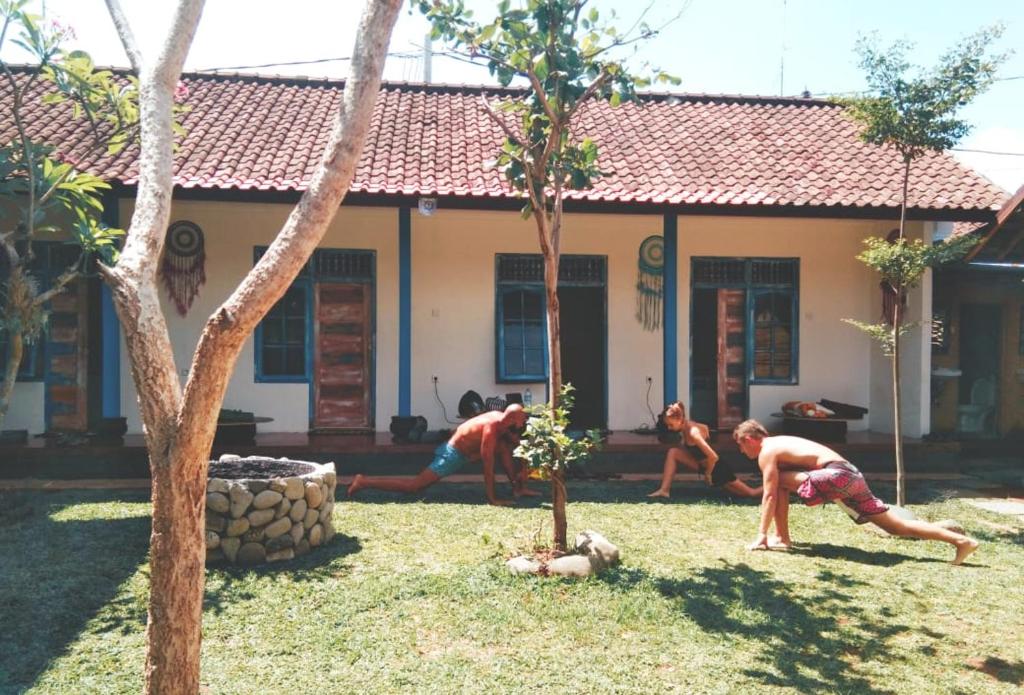 Zahrada ubytování Damuh Guest House