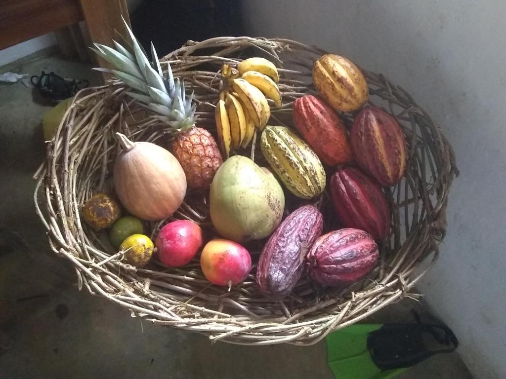  Orgânica-Mente B&B