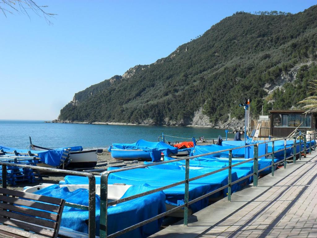 a row of blue boats parked on a dock at RIVA: TRA 5 TERRE E PORTOFINO in Sestri Levante