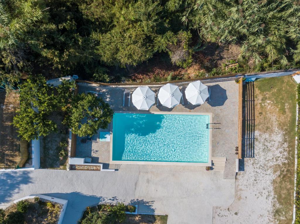 The swimming pool at or close to Dallas Valtos Studios