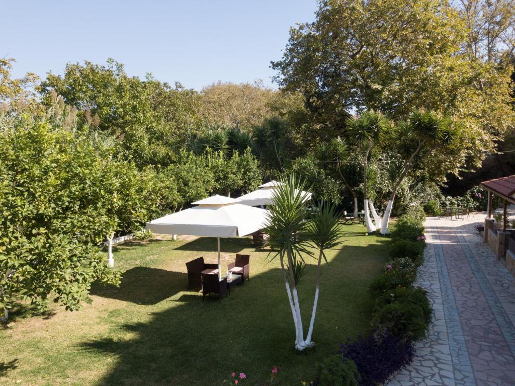 A garden outside Dallas Valtos Studios