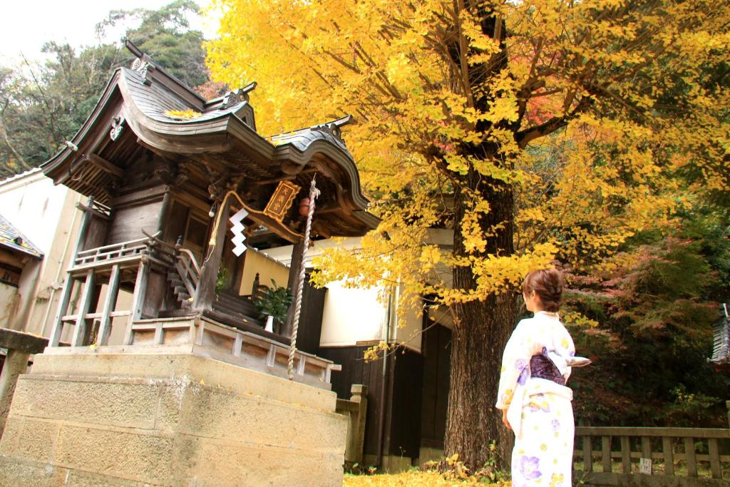 Hosté ubytování Ougiya Ryokan