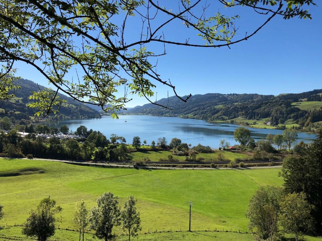 a view of a lake from a field at Rothenfels Hotel & Panorama Restaurant in Immenstadt im Allgäu