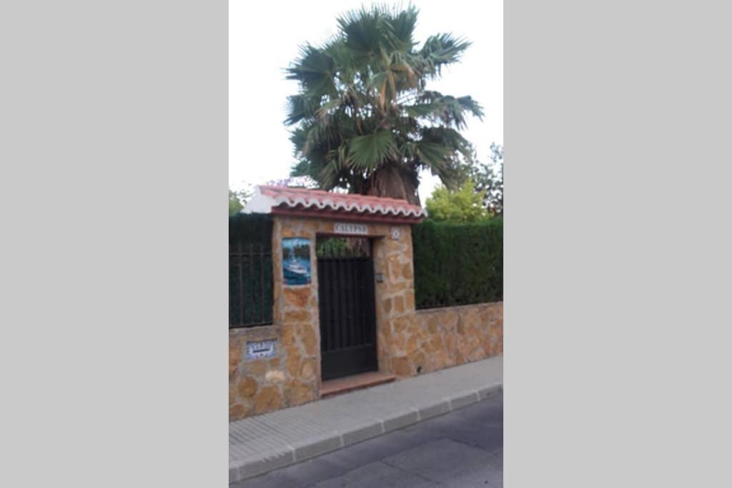 Fotografie z fotogalerie ubytování LUJOSA VILLA EN PLAYA DE GANDIA VT-43603-V v destinaci Gandía
