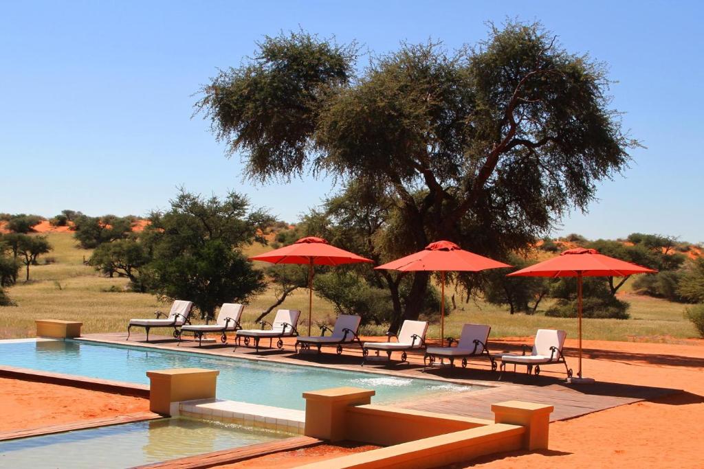 un gruppo di sedie e ombrelloni accanto alla piscina di Zebra Kalahari Lodge a Hoachanas