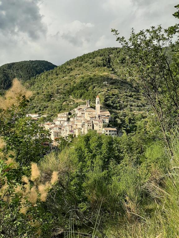 ein Dorf an der Seite eines Hügels in der Unterkunft Gite des remparts in Lucéram