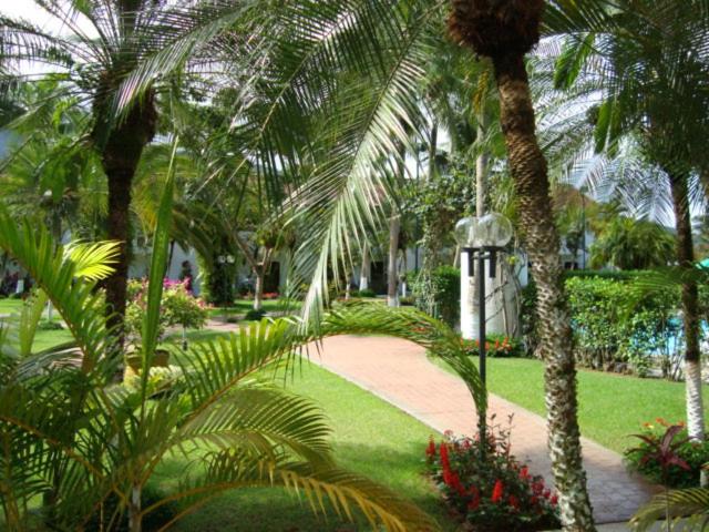  Condomínio a 1 metro da Praia Toninhas Ubatuba Pé na Areia Apartamento