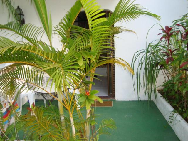  Condomínio a 1 metro da Praia Toninhas Ubatuba Pé na Areia Apartamento