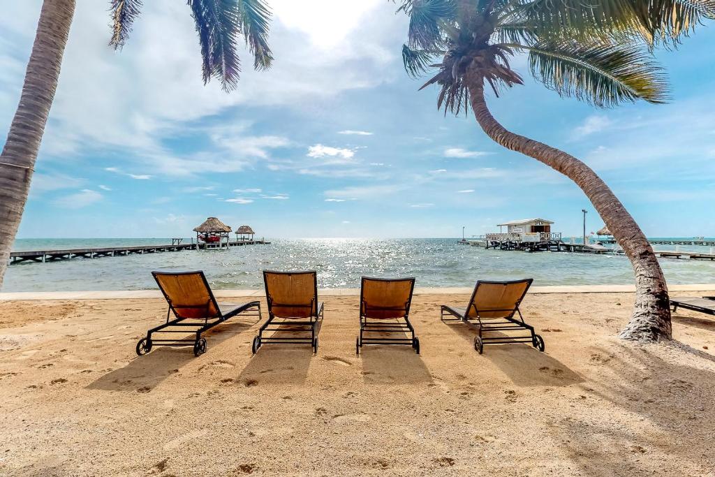 four chairs on a beach with palm trees at Oleander @ Caribe Island in San Pedro