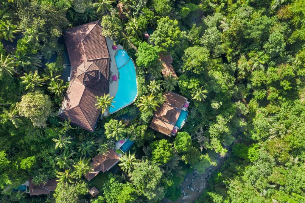 Ayung Resort Ubud في بيانغان: اطلالة علوية لمنتجع في الغابة