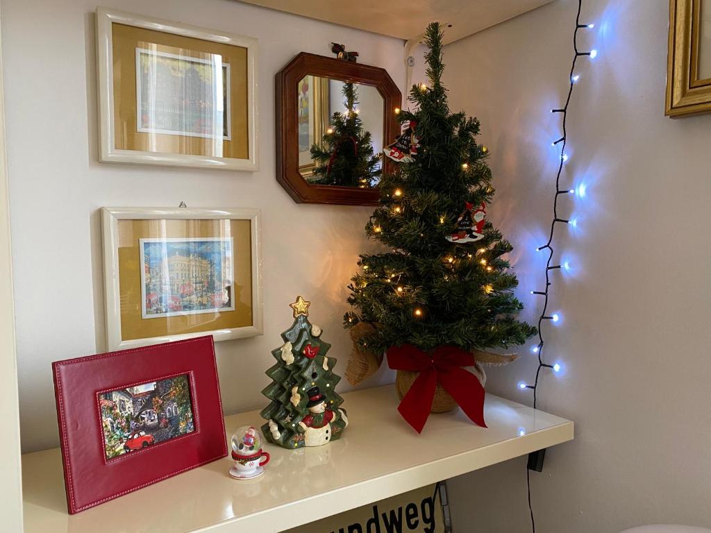 Lovely Irnerio ❤ flat near S. Pietro ★ - Apartment