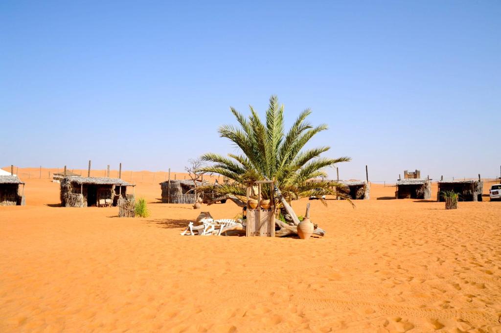 a palm tree in the middle of a desert at Nomadic Desert Camp in Al Wāşil