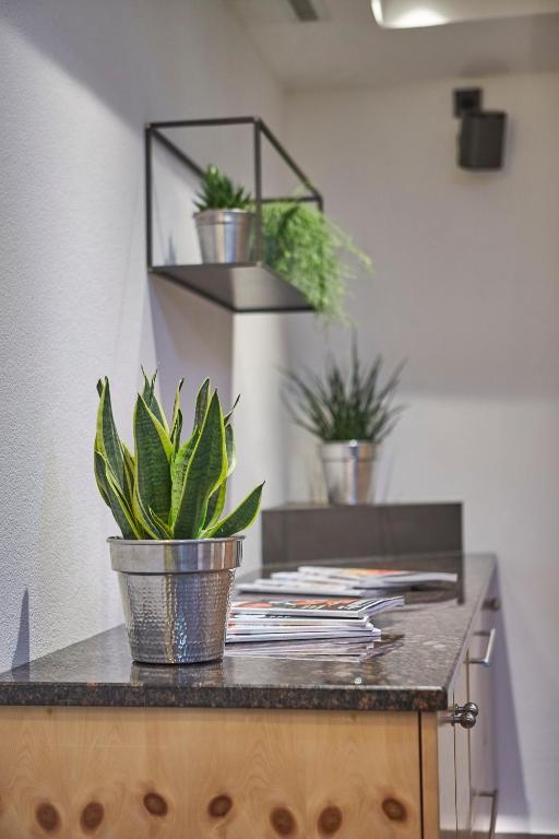 Fotografie z fotogalerie ubytování Hotel Hubertushof v Saalbachu