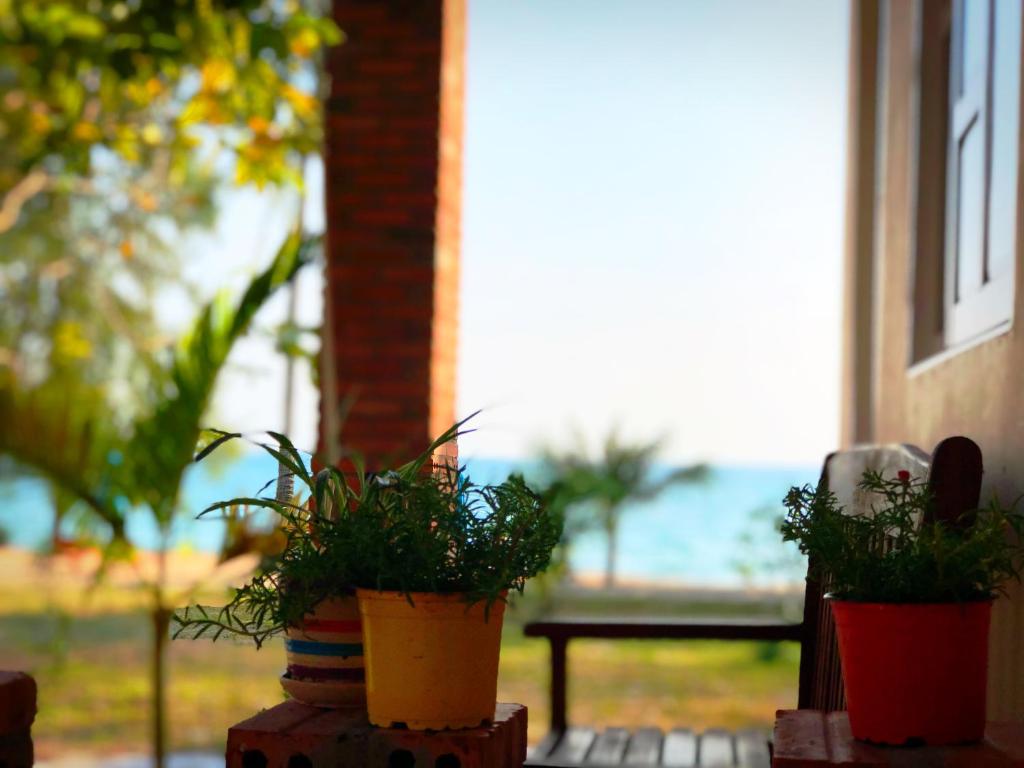 two potted plants sitting on a table in front of a window at Vung Bau Resort in Phú Quốc