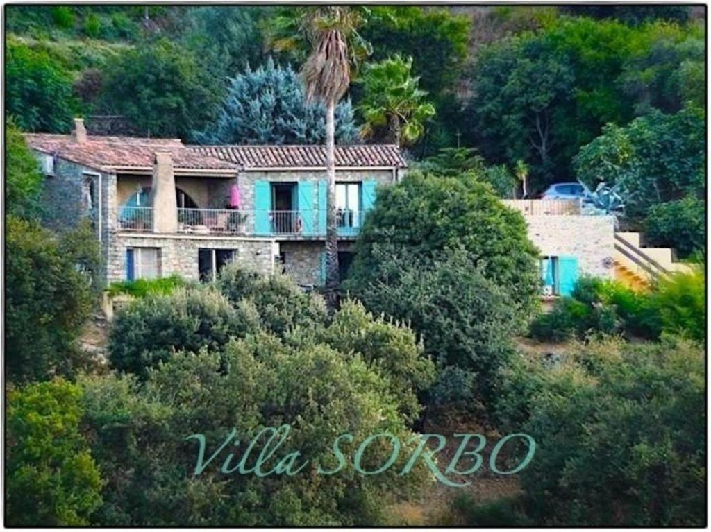 una casa en la cima de una colina con árboles en Villa Sorbo en LʼÎle-Rousse