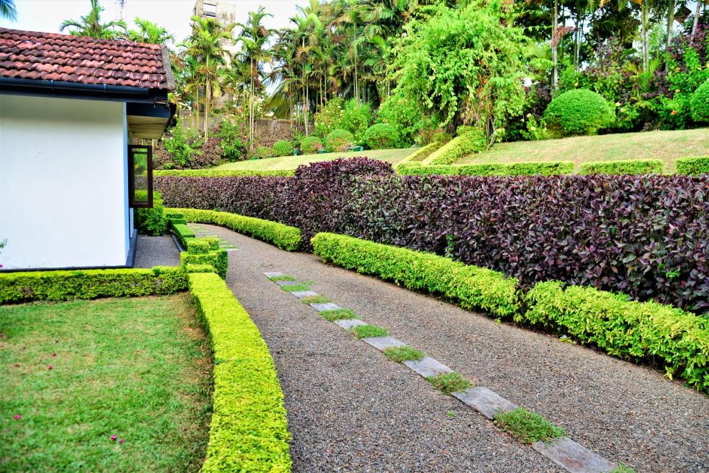 Giardino di Camellia Dwelling