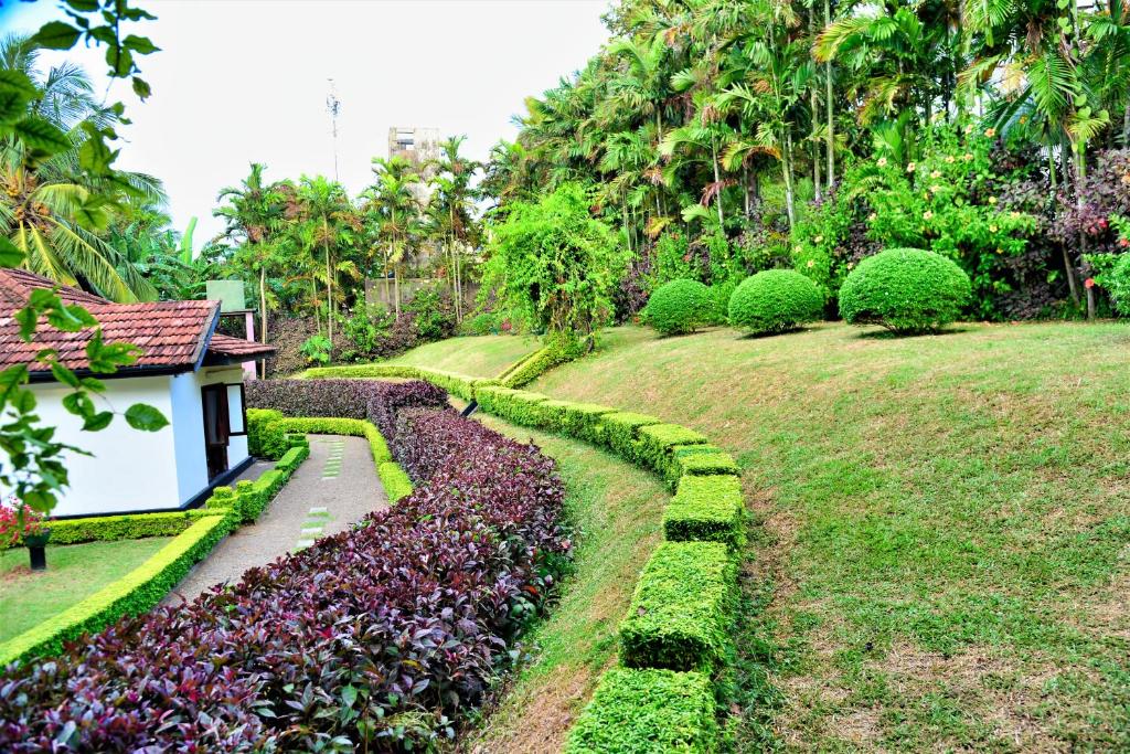 Giardino di Camellia Dwelling