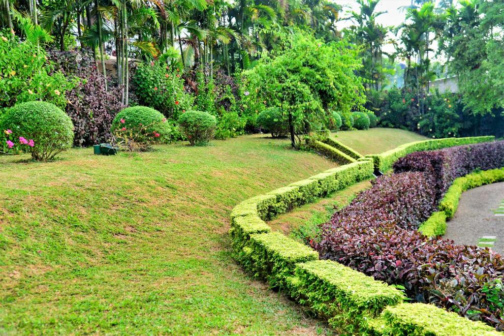 Giardino di Camellia Dwelling